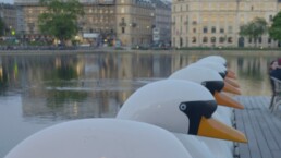 København