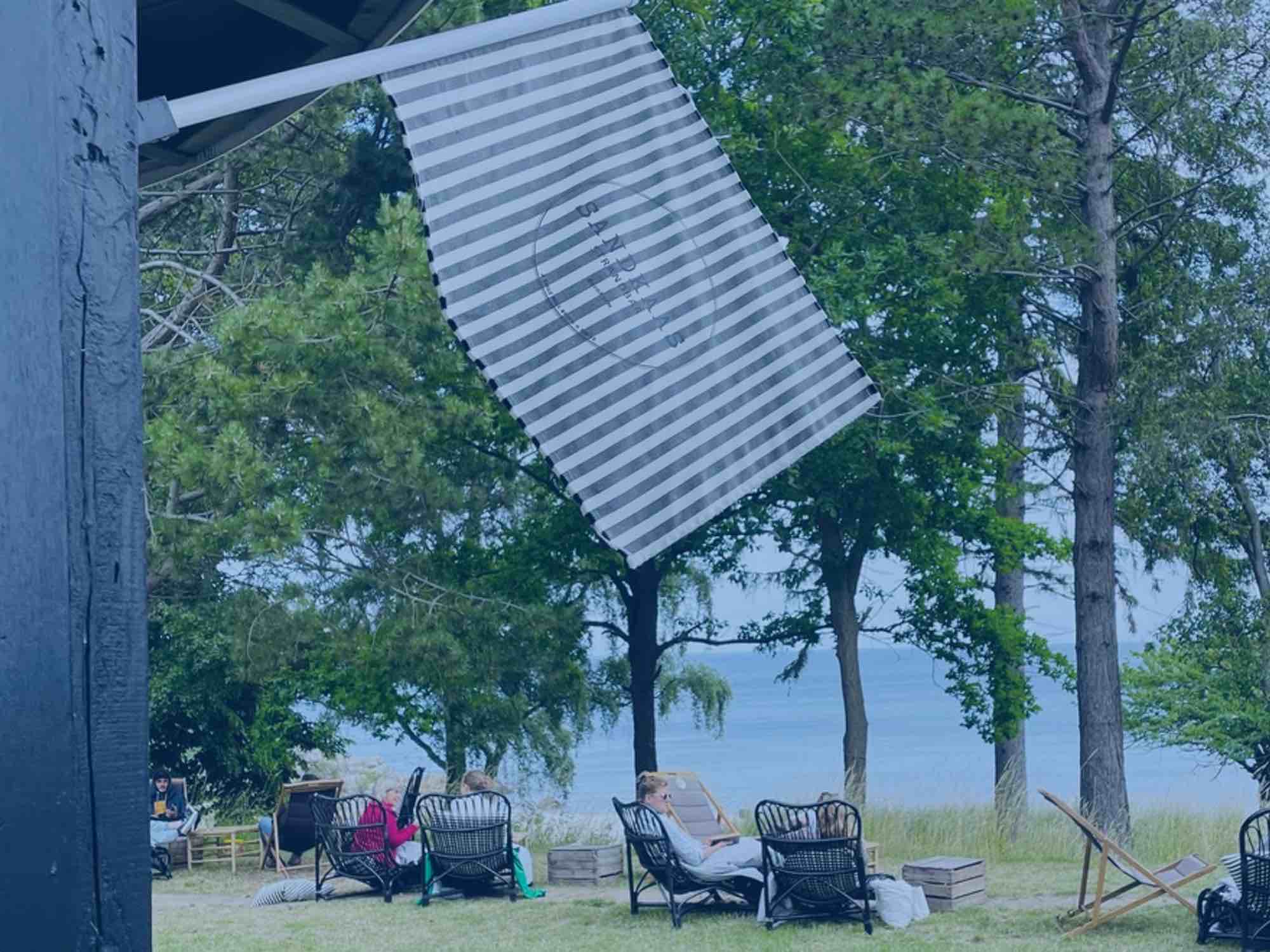 Strandbaren i Sandkaas