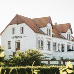 Falcon Hotel