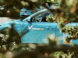 Green SM